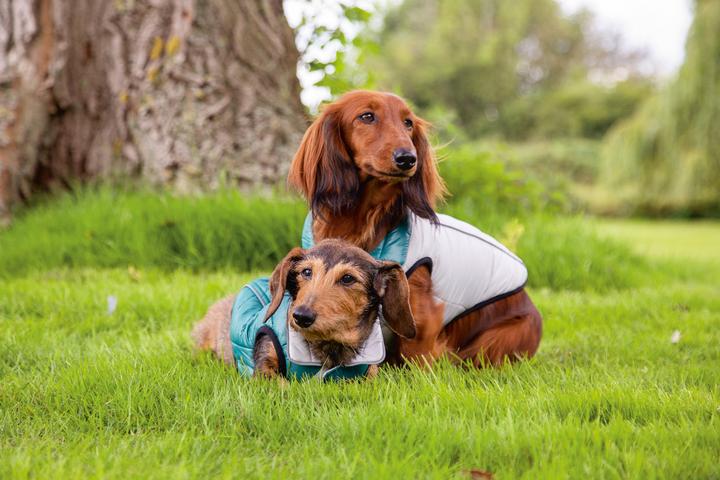Actual product image Beeztees Maly (28, Dog coat)