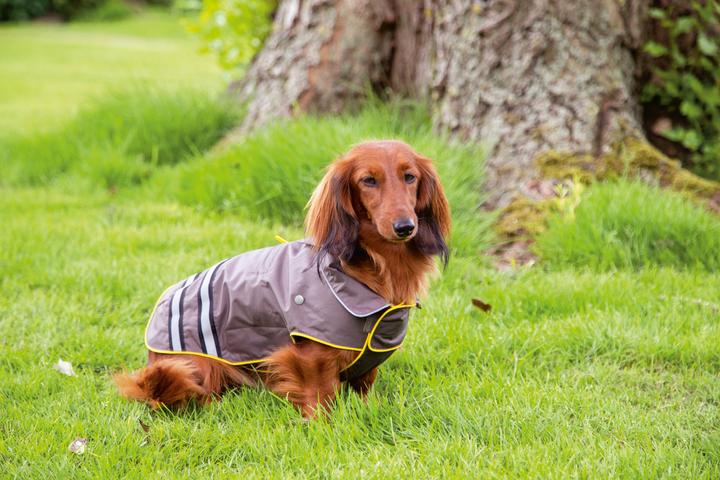 Immagine prodotto Beeztees Seja (L, Cappotto per cani)
