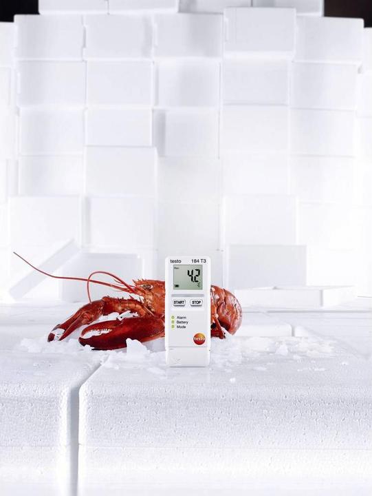 Image du produit Testo Enregistreur de données de température 184 T3 (Thermomètres)