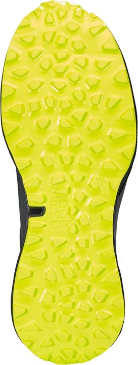 Actual product image Dynafit Ultra 100 GTX (42)