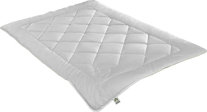 Immagine prodotto Irisette Greenline Trapunta "Camel ECO (800 g, 135 x 200 cm)