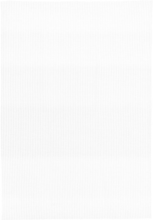 Image du produit Relaxdays Tapis antidérapant (120 x 180 cm)