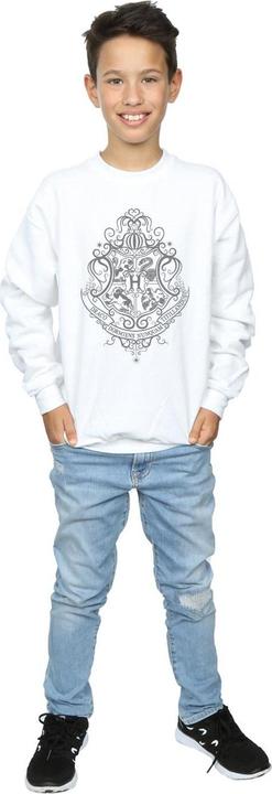 Image du produit - Sweat HOGWARTS DRACO DORMIENS CREST - Garçon (152, 158)