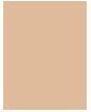 Image du produit Shiseido Fond de teint fluide illuminateur Synchro Skin (#N2)