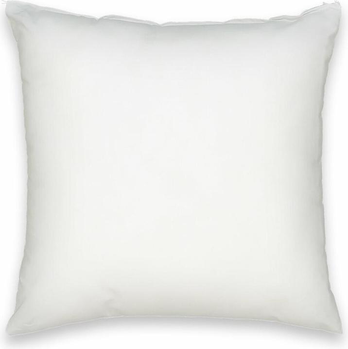 Image du produit La Redoute Interieurs Terra (40 x 40 cm)