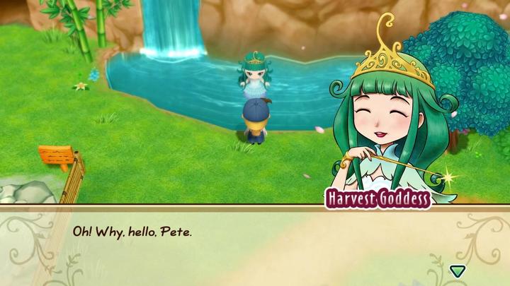 Actual product image Marvelous Story of Seasons : Friends of Mineral Town (Switch, FR)