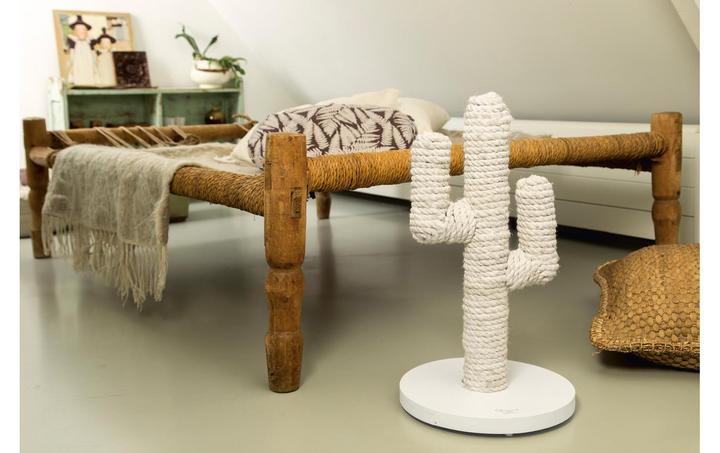 Actual product image Designed by Lotte Cactus (60 cm, White)