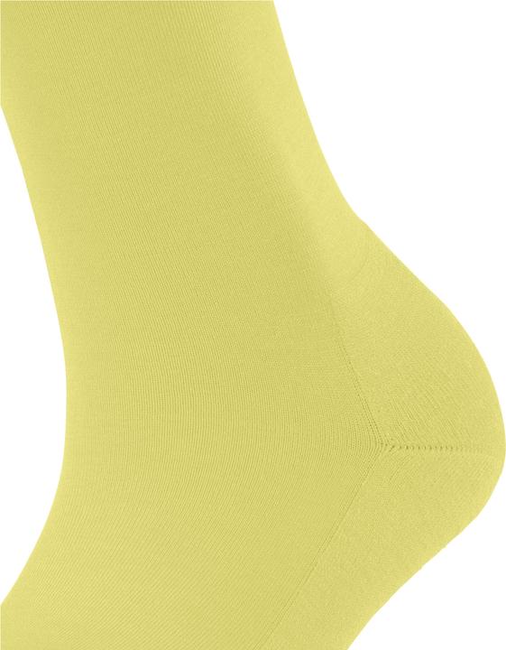 Immagine prodotto Falke ClimaWool Donna (39 - 40)