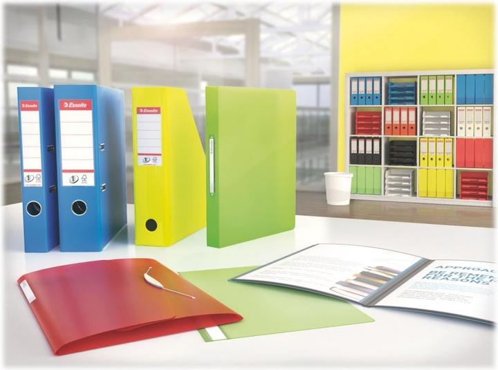Actual product image Esselte VIVIDA magazine file (A4)