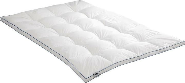 Image du produit Irisette Edredon Laura extra chaud, remplissage : 100% duvet d'oie (960 g, 135x200 cm)