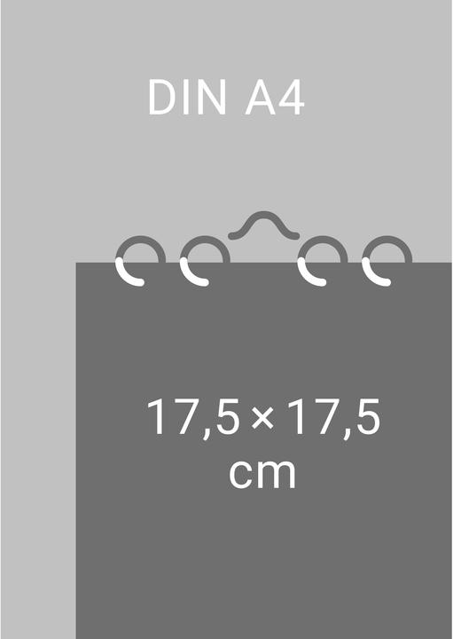 Immagine prodotto Witze fürs Klo Kalender 2026 (Copertina rigida, Tedesco)
