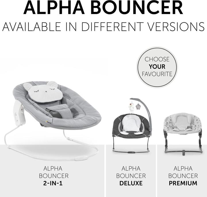 Actual product image Hauck Alpha Bouncer 2in1