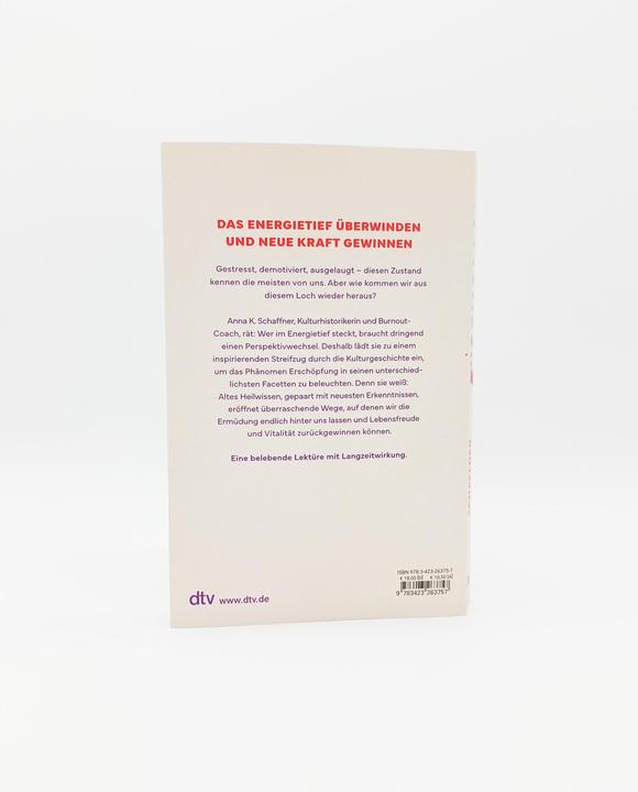 Actual product image Erschöpft? (German, Anna Katharina Schaffner, Beate Schäfer, 2024)