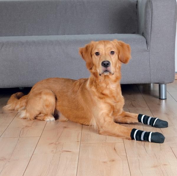 Immagine prodotto Trixie Calzini per cani XL (XL, Calzini per cani)