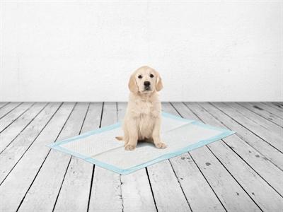 Immagine prodotto Savic Tappetini per cuccioli grandi: xPiece (Cane)