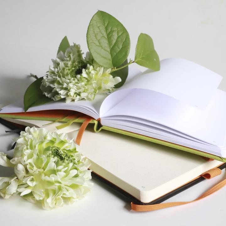 Actual product image Rhodia Rhodiarama Goalbook (A5, Checked, Hardcover)