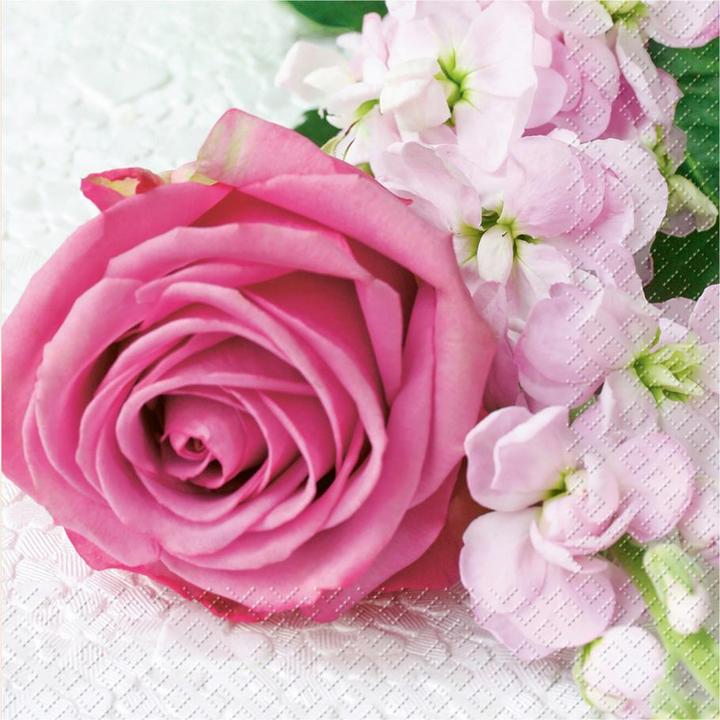 rosa chiaro
