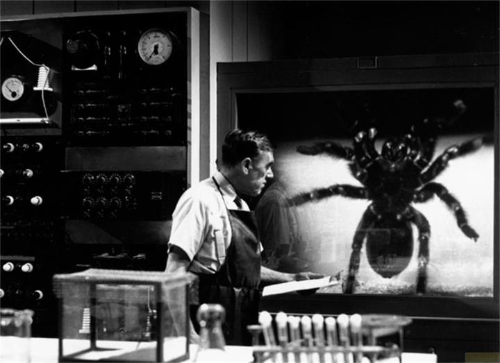 Produktbild Plaion Tarantula (Blu-ray, 2014, Deutsch)