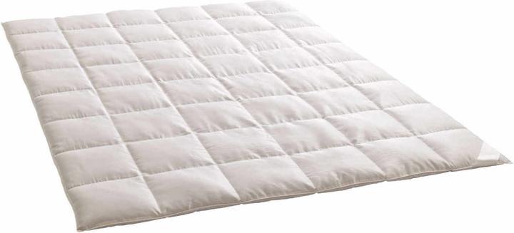 Actual product image Dauny Eider Caro silk down comforter (160 x 210 cm)