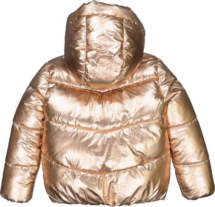 Image du produit La Redoute Collections Veste matelassée chaude avec capuche (94)