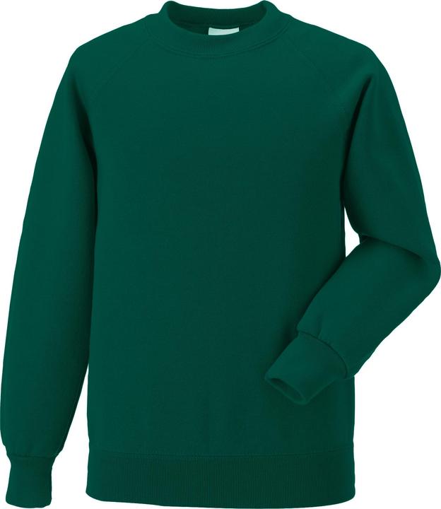 Actual product image Jerzees Schoolwear Jerzees Schoolgear Raglan Pullover (104)