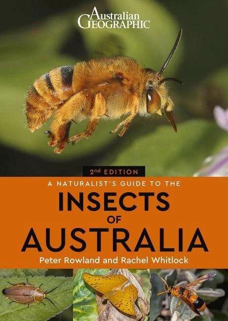 Image du produit Un guide naturaliste sur les insectes d'Australie (Anglais, Peter Rowland, 2022)