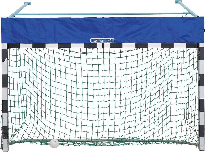Sport-Thieme Torabhängung