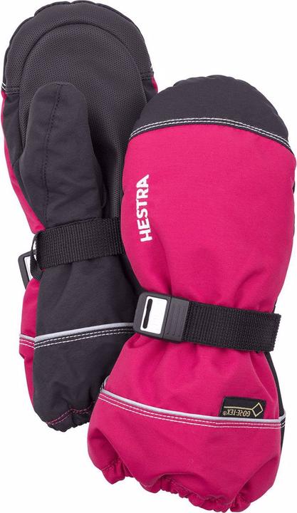 Hestra Gore-tex Fäustlinge (6)