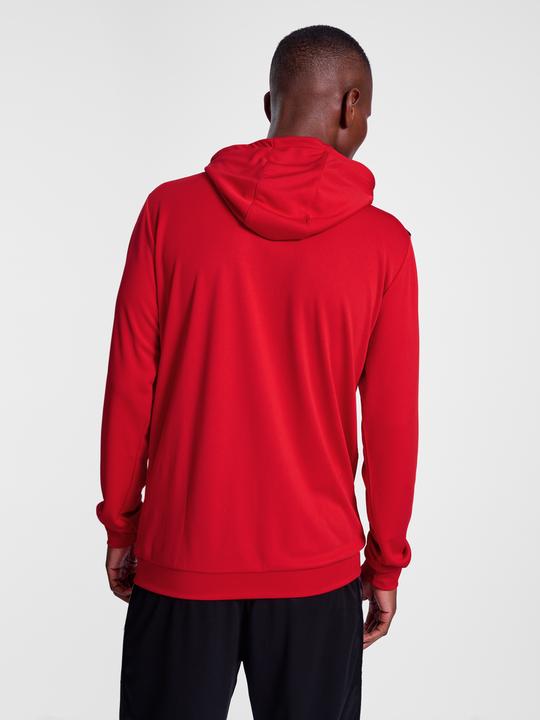 Actual product image hummel Hmlauthentic Pl Hoodie (XS)