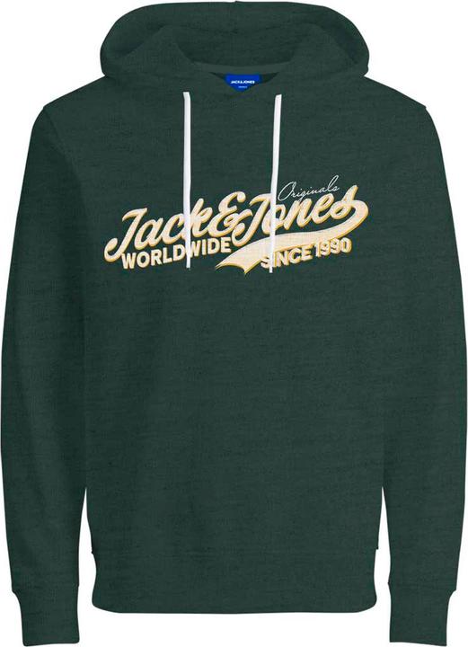 Actual product image Jack & Jones Jormel Sweat Hood Aut Ln (M)