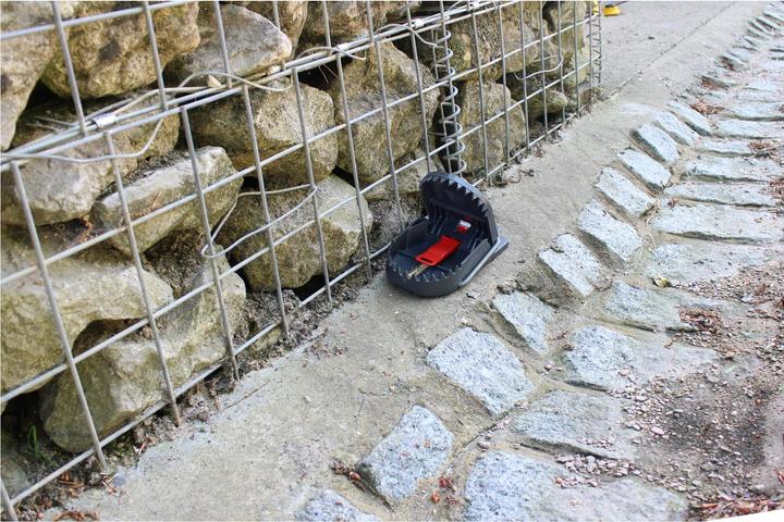 Productafbeelding Super Cat Rattenfalle PRO SuperCat 1er