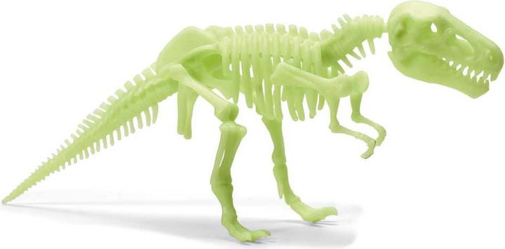 Actual product image Brainstorm T-Rex Skeleton Glow in the Dark