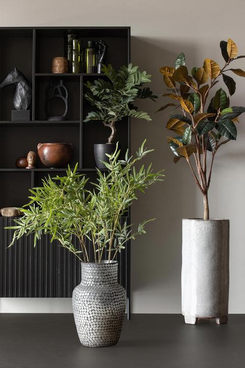 Image du produit Woood Zamia (61 cm)