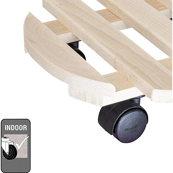 Actual product image Pflanzenroller Buche PALETTI 0318