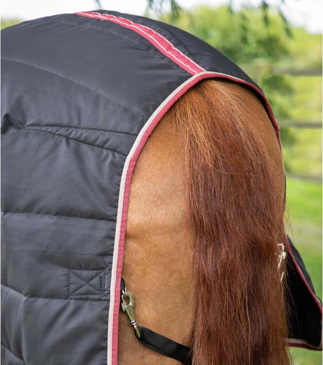 Actual product image Premier Equine Garissa 100 g (160 cm)