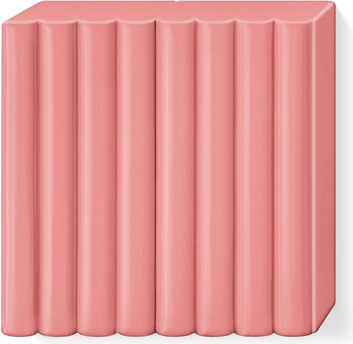 Image du produit Fimo Pâte à modeler