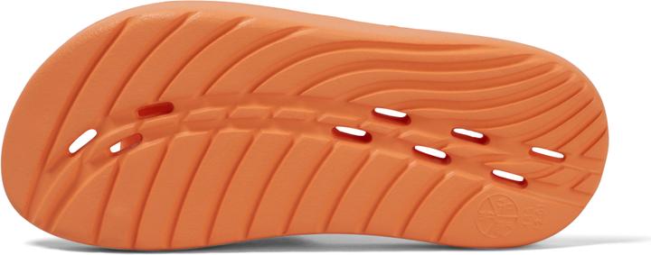 Actual product image Speedo Slide JU (38)