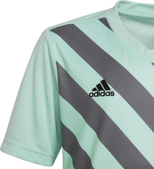 Image du produit adidas Maillot Entrada 22 Graphic (128)