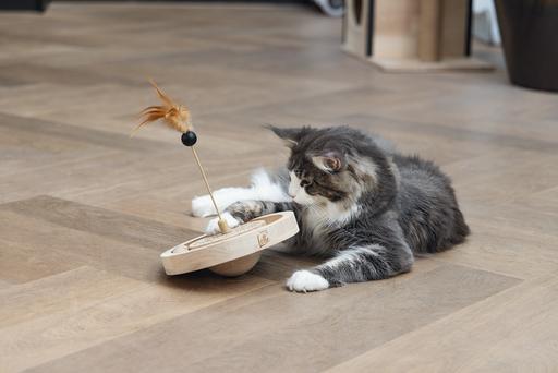 Actual product image Designed by Lotte Winni (Catmint toy)