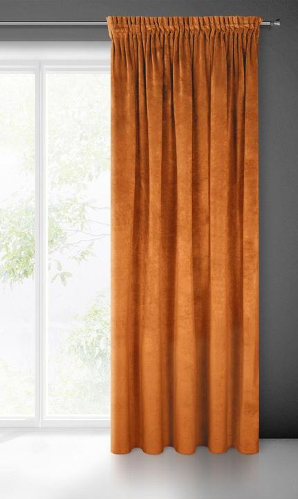 Immagine prodotto Eurofirany Tenda da notte in morbido velluto DIVA LINE RIA 140X270 cm, striscia/tunnel/ganci, 300 g (140 x 270 cm)