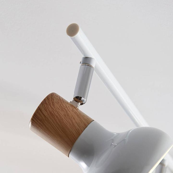 Image du produit Lindby Fridolin (E14)