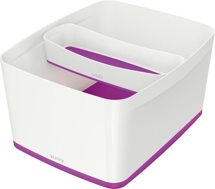 Leitz MYBOX - Scatola di stoccaggio (32 x 20 x 38,5 cm, 18 l)