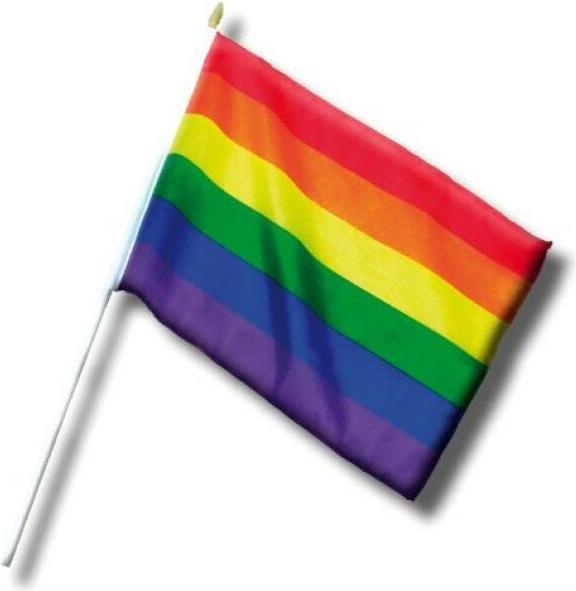 Actual product image ? Lgbt Flag, Small Flag Banner