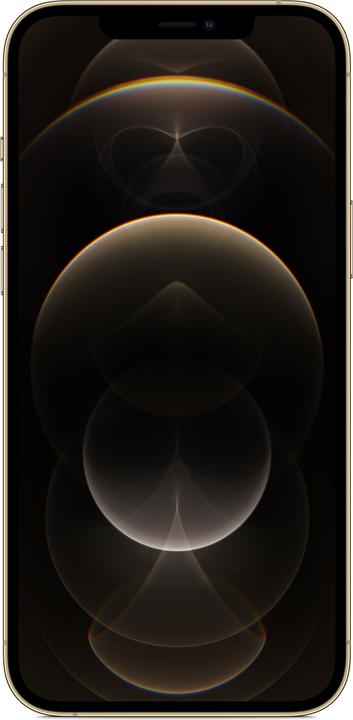 Actual product image Apple iPhone 12 Pro Max (128 GB, Gold, 6.70", SIM + eSIM, 12 Mpx, 5G)
