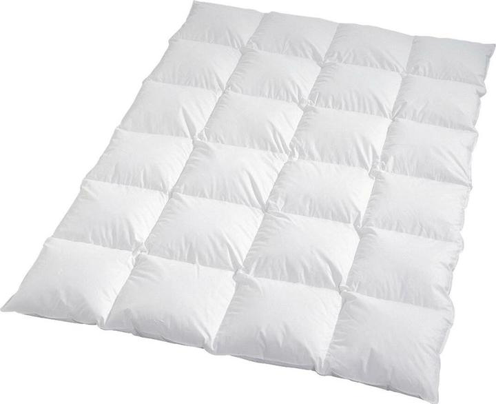 Produktbild Traumschlaf Himalaya (1300 g, 200 x 220 cm)