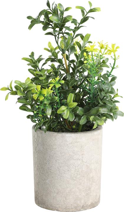 Produktbild EGLO LIVING Chitose (25 cm)