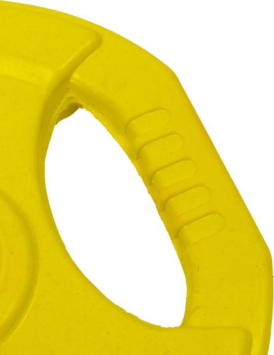 Image du produit Gladiatorfit Disque de poids avec poignées (1 x 1.25 kg)