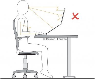 Actual product image Bakker Elkhuizen Basic 950 (42 x 32 cm)