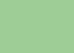 Actual product image Clairefontaine Universal paper, coloured (120 g/m², 250 x, A4)