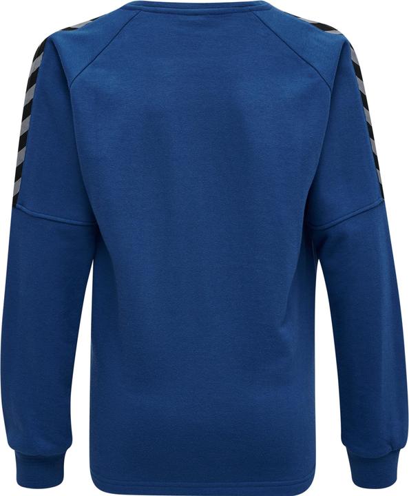 Produktbild hummel Authentic Kids Training Sweat (128)